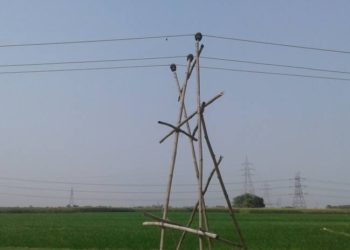 आजमगढ़ :- अहिरौला – बिना फाउंडेशन पोल ने ली पुत्र की जान पिता भी बचाने  में झुलसा