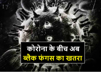 जानलेवा ब्लैक फंगस क्या है? जानिए क्या हैं लक्षण और इसका इलाज