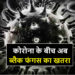 जानलेवा ब्लैक फंगस क्या है? जानिए क्या हैं लक्षण और इसका इलाज