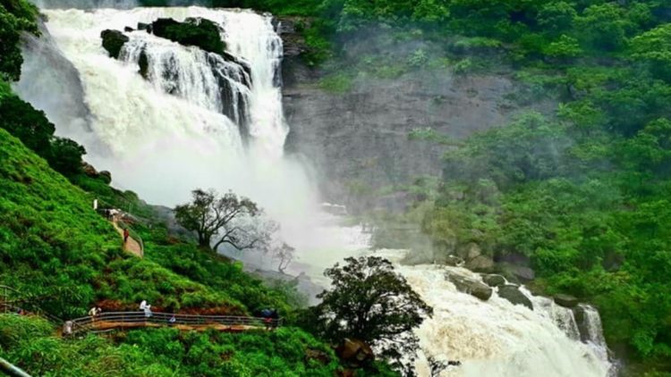 कर्नाटक : नई खोज मस्ती का खजाना  बाबा बुदनगिरी हिल्स