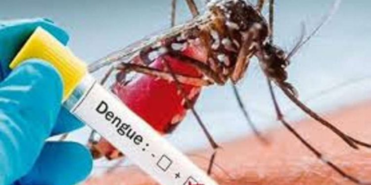 वायरल फीवर और डेंगू कहर बरपा रह पूर्वी उत्तर प्रदेश में